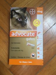 Título do anúncio: Advocate gatos 