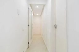 https://img.olx.com.br/thumbs256x256/83/834583401652531.jpg