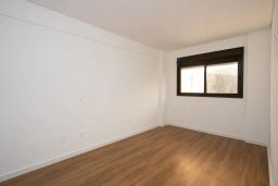 https://img.olx.com.br/thumbs256x256/83/835598281865420.jpg