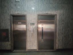 https://img.olx.com.br/thumbs256x256/83/837557165890162.jpg