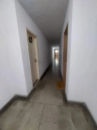 https://img.olx.com.br/thumbs256x256/83/837574404243190.jpg
