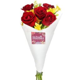 https://img.olx.com.br/thumbs256x256/83/837583382508073.jpg