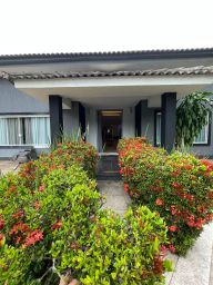 https://img.olx.com.br/thumbs256x256/83/837599271869749.jpg