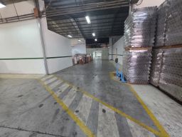 https://img.olx.com.br/thumbs256x256/83/837632193002954.jpg