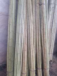 Título do anúncio: Bambu tratado