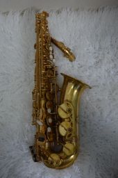 https://img.olx.com.br/thumbs256x256/83/839549395668411.jpg