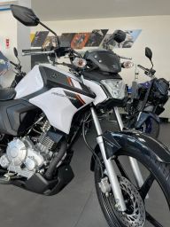 https://img.olx.com.br/thumbs256x256/83/839585508205406.jpg