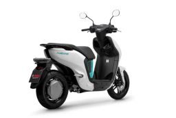 https://img.olx.com.br/thumbs256x256/84/840509021571932.jpg