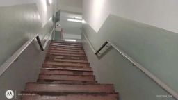 https://img.olx.com.br/thumbs256x256/84/842556522683950.jpg