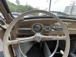 https://img.olx.com.br/thumbs256x256/84/842581889996356.jpg