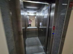https://img.olx.com.br/thumbs256x256/84/843562010383353.jpg