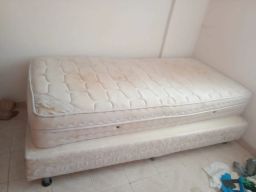 https://img.olx.com.br/thumbs256x256/84/846561884957451.jpg