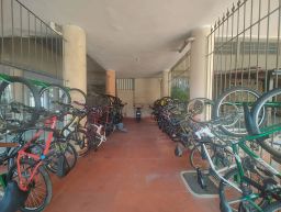 https://img.olx.com.br/thumbs256x256/84/849515645226646.jpg