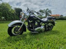 https://img.olx.com.br/thumbs256x256/84/849530376116289.jpg