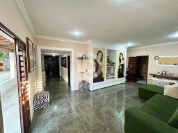 https://img.olx.com.br/thumbs256x256/84/849579872576351.jpg
