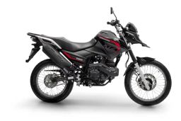 https://img.olx.com.br/thumbs256x256/85/850448590981525.jpg