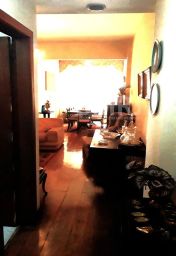 https://img.olx.com.br/thumbs256x256/85/850591887810969.jpg