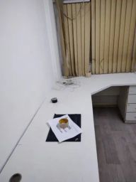 https://img.olx.com.br/thumbs256x256/85/851378520089449.jpg