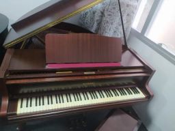 https://img.olx.com.br/thumbs256x256/85/851540363531130.jpg