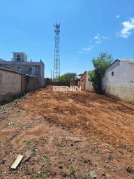 https://img.olx.com.br/thumbs256x256/85/852565524583483.jpg