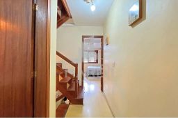 https://img.olx.com.br/thumbs256x256/85/852591524901688.jpg