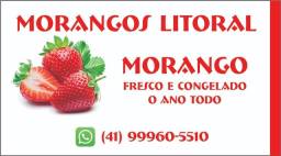 Título do anúncio: MORANGO FRESCO E CONGELADO