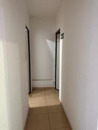 https://img.olx.com.br/thumbs256x256/85/853542395399969.jpg