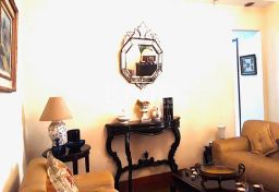 https://img.olx.com.br/thumbs256x256/85/854530642658066.jpg