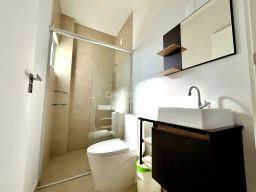 https://img.olx.com.br/thumbs256x256/85/855528877045401.jpg