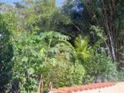 https://img.olx.com.br/thumbs256x256/85/855536526888503.jpg
