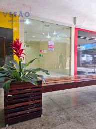 https://img.olx.com.br/thumbs256x256/85/857507281899231.jpg