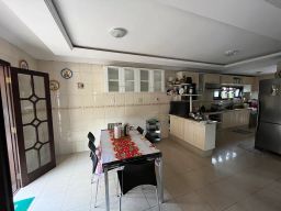 https://img.olx.com.br/thumbs256x256/85/857507283642047.jpg