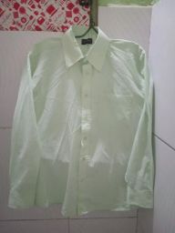 https://img.olx.com.br/thumbs256x256/85/857564240150358.jpg