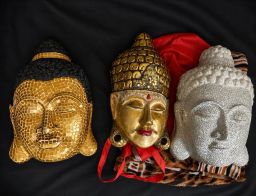 https://img.olx.com.br/thumbs256x256/85/857671750254405.jpg