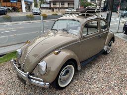 https://img.olx.com.br/thumbs256x256/85/859573649134012.jpg