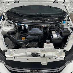 https://img.olx.com.br/thumbs256x256/86/861584169956289.jpg
