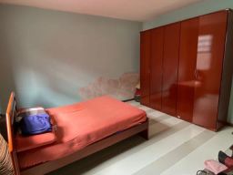 https://img.olx.com.br/thumbs256x256/86/862496528063300.jpg