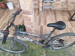 https://img.olx.com.br/thumbs256x256/86/862563649092921.jpg