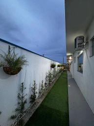 https://img.olx.com.br/thumbs256x256/86/862581767429444.jpg