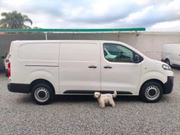 https://img.olx.com.br/thumbs256x256/86/862636769237946.jpg