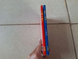 https://img.olx.com.br/thumbs256x256/86/863594608530569.jpg