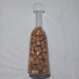 https://img.olx.com.br/thumbs256x256/86/864544266739556.jpg