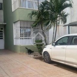 https://img.olx.com.br/thumbs256x256/86/866512633541706.jpg