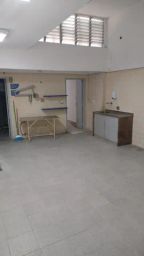 https://img.olx.com.br/thumbs256x256/86/867336289909037.jpg