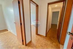https://img.olx.com.br/thumbs256x256/86/867502646221776.jpg