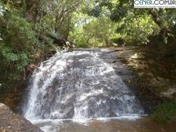 Título do anúncio: 2101/Linda e ótima fazenda de 140 ha com lindas cachoeiras proximo a Ibitipoca