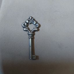 https://img.olx.com.br/thumbs256x256/86/869560499572484.jpg