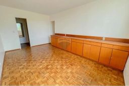 https://img.olx.com.br/thumbs256x256/87/870562527492449.jpg