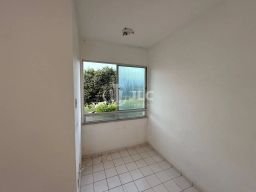 https://img.olx.com.br/thumbs256x256/87/870579769073964.jpg