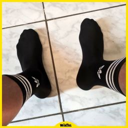 https://img.olx.com.br/thumbs256x256/87/871465452050128.jpg